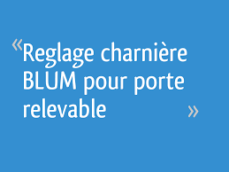Reglage Charniere Blum Pour Porte Relevable 23 Messages