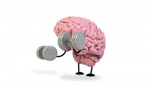Existen casos registrados de personas diagnosticadas con muerte cerebral que reaccionan justo antes de ser intervenidas para donar sus órganos. Aptitud Cerebral Premium Photo Freepik Photo Deporte Dibujos Animados Aptitud Cerebro Cerebral Aptitud Elementos