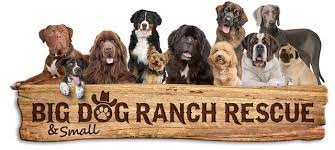 We are proud to be las vegas' hometown microbrewery since 1993. Jobs Big Dog Ranch Rescue