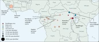Body fluids that may contain ebola viruses include saliva, mucus, vomit, feces, sweat, tears, breast milk, urine and semen. Ebola Virus Disease The Lancet