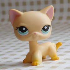 Kedi Tekli Minis Ile Ilgili Gorsel Sonucu Minis Kedi Oyuncak