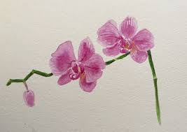 Artist + Designer — LUZ|tello