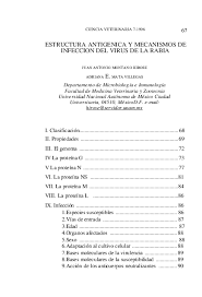 A pesar de que su propagación se ha evitado, se reportan de forma esporádico en áfrica, donde se. Pdf Estructura Antigenica Y Mecanismos De Infeccion Del Virus De La Rabia Jose Ricardo Cristancho Bottia Academia Edu