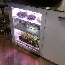 A wide variety of tabletop display shelf options are available to you, such as general use, design style, and material. Dwell On Instagram You Can Grow Microgreens In Your Kitchen Cabinet Thanks To This Cool System From Hafeleamerica Microgreens Mini Greenhouse Edible Garden