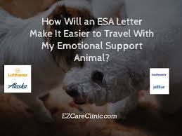 Jetblue requires passengers with psychiatric service animals or emotional therapy animals to provide documentation to verify the disability and need for t. Travel With My Emotional Support Animal Airlines Pet Policy