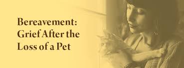 Various cultures have formal mourning periods of one year up to three years. Coping With The Loss Of A Pet Pet Bereavement Grief Agape
