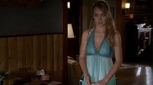 Amber started acting in theater very early. Amy Fleming Heartland Wiki Fandom