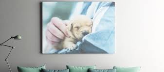 Picture hooks for hanging no nails suitable wall picture hanger. Hanging Pictures Without Nails My Picture Uk
