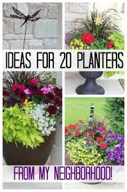Style your patio with plants that provide privacy, attract butterflies, and add fragrance. Pin On Container Gardening