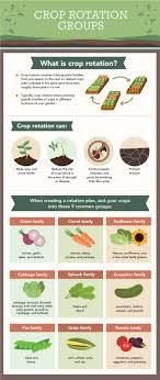 Our helpful guides will help you identify and prevent further infestations and deal with damage. Are You A Great Gardener Crop Rotation Organic Gardening Soil Starting A Vegetable Garden