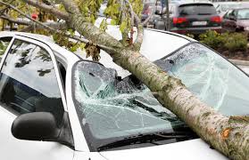 2,889 likes · 28 talking about this · 187 were here. Heftiger Sturm Fegte Uber Wien Zahlreiche Schaden An Strassen Autos Und Baustellen Video Kosmo