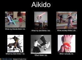 Aikido What Thinks I Do Aikido Martial Arts Funny Memes