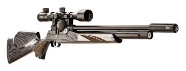 First time dealing with airguns of arizona their on hold message goes on and on about customer service. New Fx Airguns Dreamline Air Rifles Airgun Wire