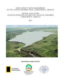 Image result for Triumfetta dekindtiana