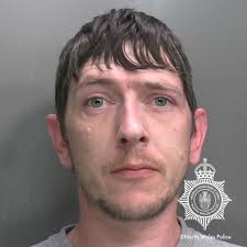 Toddler mauled by Japanese fighting dog which couple bought online for £150 