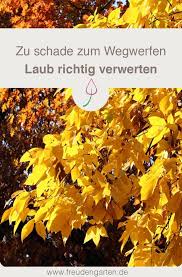 Wohin Mit Dem Herbstlaub Gartenarbeit Gartentipps Garten Und Outdoor