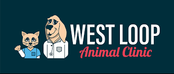 According to google safe browsing analytics, westsidepetclinic.com is quite a safe domain with no visitor reviews. Vet Clinic Lufkin Tx West Loop Animal Clinic
