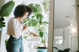 Everyone desires a home, which is a private haven, relaxing and a place to rejuvenate oneself. Zodiac Decor Tweaks Can Make For A Calm Mercury Retrograde Well Good
