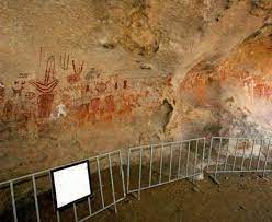 Pin On Tips Chihuahua