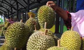Ada 20 gudang lagu jalur durian murah kali gesing purworejo terbaru, klik salah satu untuk download lagu mudah dan cepat. Di Garut Ada Wisata Durian Petik Sendiri Harga Lebih Murah Pikiran Rakyat Com Halaman 2