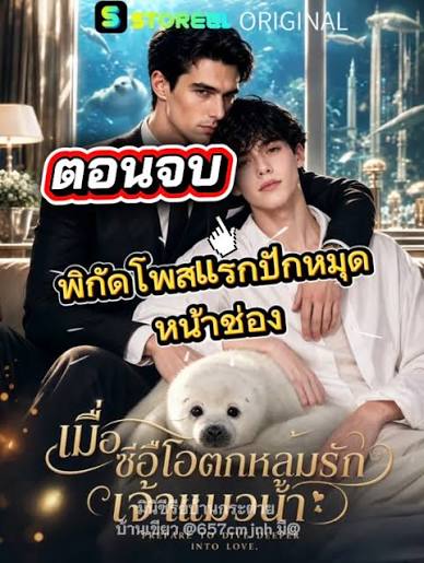 เมื่อซีอีโอตกหลุมรักเจ้าแมวน้ำ