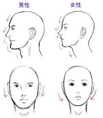 人の顔を絵にかくときの男女の違いについて教えて下さい yahoo 知恵袋 顔 男性の顔 クリエイティブなアート