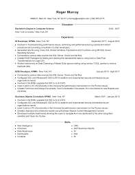 bi developer resume examples and tips