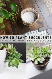 How To Plant Succulents In Pots Without Drainage Holes Repotting Succulents How To Water Succulents Succulents In Containers