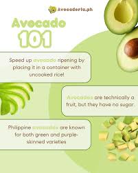 Image result for Dark Avocado 1972 Fedders