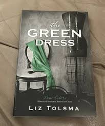 The Amish Widow's New Love and Plain Outsider by Liz Tolsma, Alison Stone
