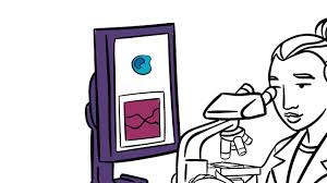 Cancer staging is the process of determining the extent to which a cancer has developed by growing and spreading. Cancer Basics What Do Cancer Stage And Cancer Grade Mean Youtube