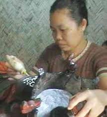 Burung perkutut adalah burung yang cukup populer dikalangan pencinta burung. Melukis Tokoh Wayang Di Sangkar Burung Laris Manis