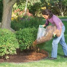 Weed control tips for your california and arizona lawn 2017 has started out nicely with some timely rainfalls to keep most of you from having to water your lawn. How To Get Rid Of Weeds In Your Lawn Diy Family Handyman