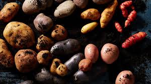 How To Grow Potatoes Sbs Food