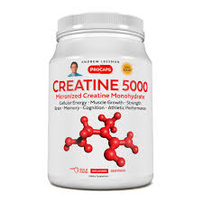 Andrew Lessman Creatine 5000 Micronized Creatine Monohydrate - 60 Servings  | HSN