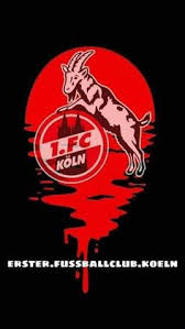 So nah dran wie noch nie! 1 Fc Koln