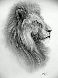 Lion High Quality Emailed Pdf Cross Stitch Chart Pattern Original Art By Darrel Bevan Lion Sketch Lion Art Tattoo Lion Drawing