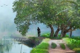 1,084 free photos of kerala. Pin On Kerala Village Tour