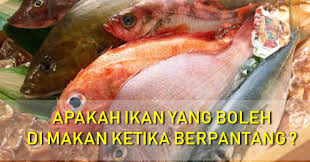 Perap 2 jam nak sedap. 10 Jenis Ikan Untuk Ibu Berpantang Jenis Ikan Yang Tidak Gatal