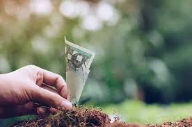 1) are texts in malay 'wordier' than english equivalents? Malaysia Money Tag Good Luck Charm Lucky Charms