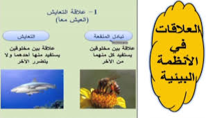 بور بوينت مادة العلوم صف خامس ابتدائى النصف الاول عام 1440 العلاقات في الأنظمة البيئية