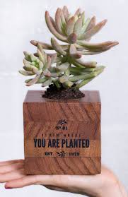 Wayne Spinks (w_spinks)