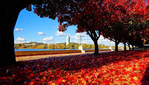 Canberra In Autumn Australia Places To Visit Canberra Australia Scenic Routes