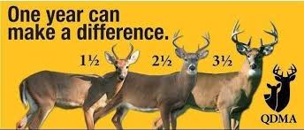Buck Growth Chart Quality Deer Management Let Them Grow