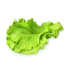 Leaf Lettuce Vector Images Over 5 100 Want your kid to have a good time without losing his or her head in those video games? leaf lettuce vector images over 5 100
