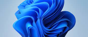 Check spelling or type a new query. Windows 11 Wallpapers 3440x1440 Widescreenwallpaper