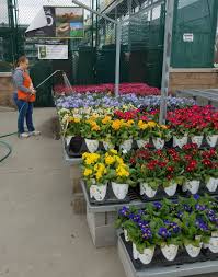 Home depot shopping center is located in the city of nanuet, in nyis designed as an open shopping mall with 1,200 parking spaces. Garden State Growers On Twitter Thank You For Taking Care Of Our Perennials Sunny And 70 On The Way Just In Time For National Quart Ad 3 10 Find Us Homedepot 1261 Nanuet Ny Christinethd
