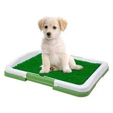 paw puppy potty trainer indoor restroom for pets kohls dog toilet potty training puppy dog training pads