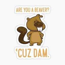 Are You A Beaver Cuz Dam Sticker By Superhygh Redbubble