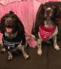 Maybe you would like to learn more about one of these? Dog Walking Stamford Rutland Oakham Pet Sitting By Sarahs Pet Care Stamford Dog Walker Rutland Pet Sitter